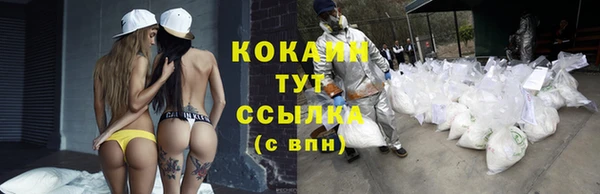 твердый Няндома