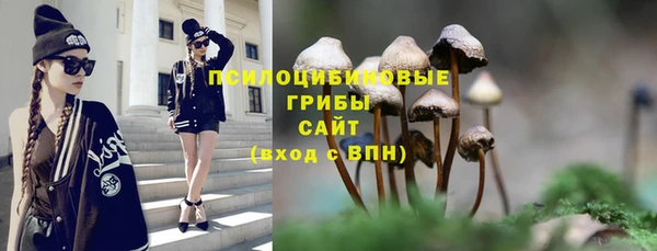 винт Новокубанск