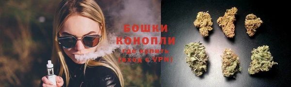 твердый Няндома