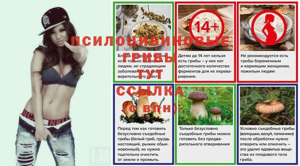 mdma Новодвинск