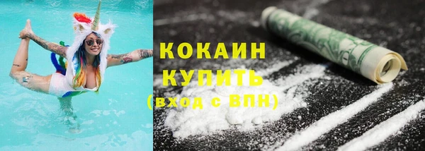 твердый Няндома