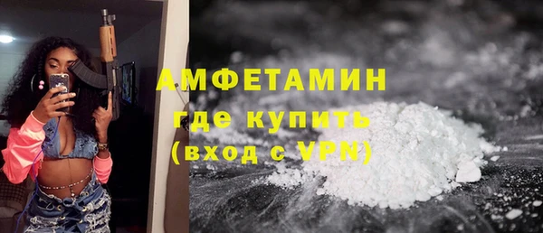твердый Няндома