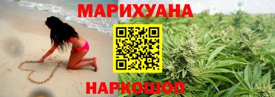 крисы Гатчина