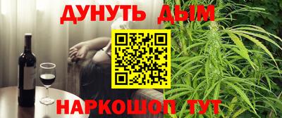 крисы Гатчина
