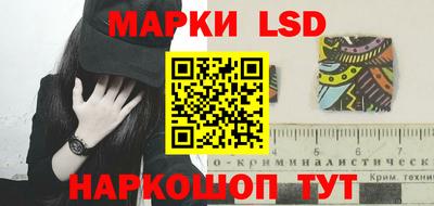 крисы Гатчина
