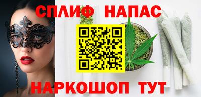 крисы Гатчина