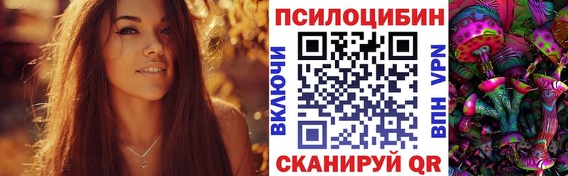 omg ссылки  Алушта  Псилоцибиновые грибы Psilocybe 