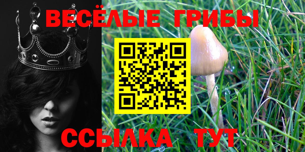 Галлюциногенные грибы GOLDEN TEACHER Алушта
