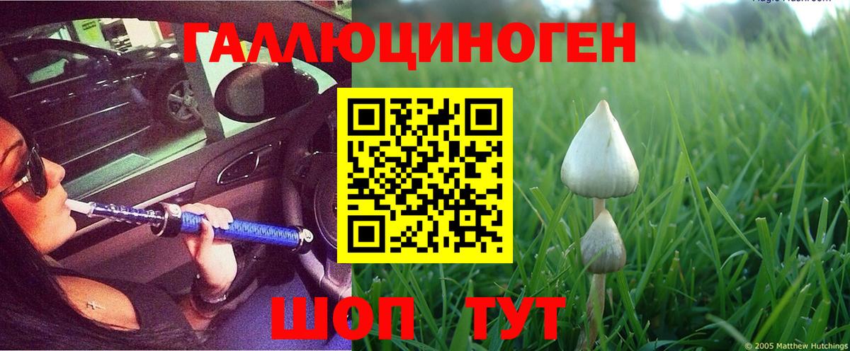 Алушта  Галлюциногенные грибы Cubensis  Вход с VPN  Галлюциногенные грибы ЛСД 