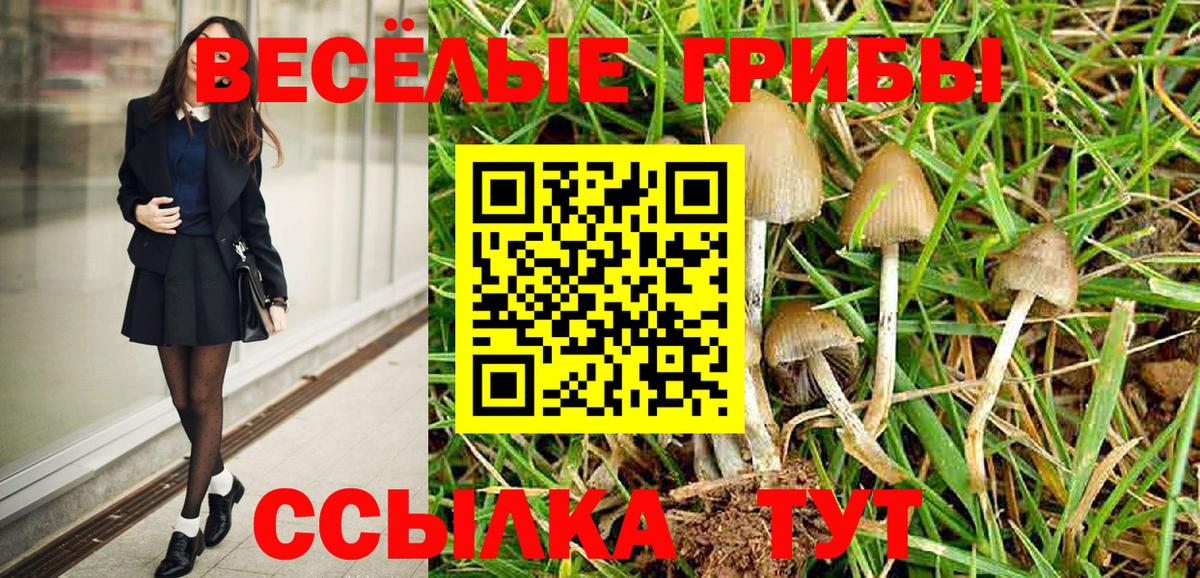 дарнет шоп  Алушта  Галлюциногенные грибы мухоморы 