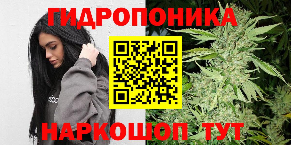 Шишки марихуана OG Kush Алушта
