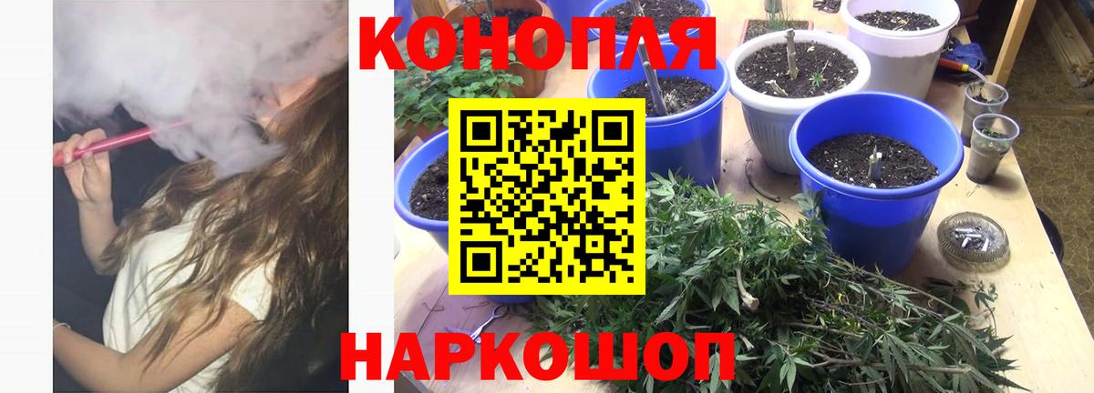 Марихуана марихуана  Канабис ГИДРОПОН  Канабис семена  Алушта  Вход с VPN  Шишки марихуана план 