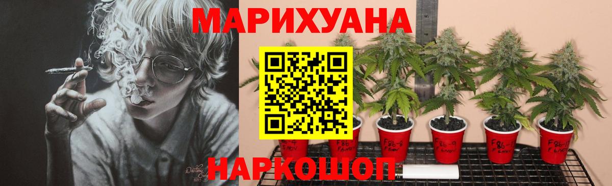 Бошки Шишки сатива Алушта